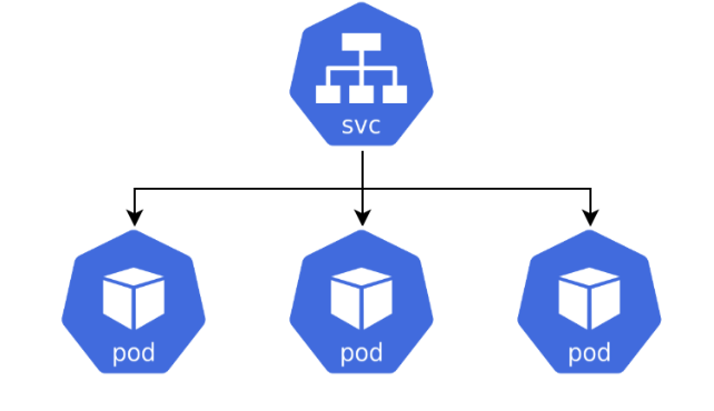 Service Organization